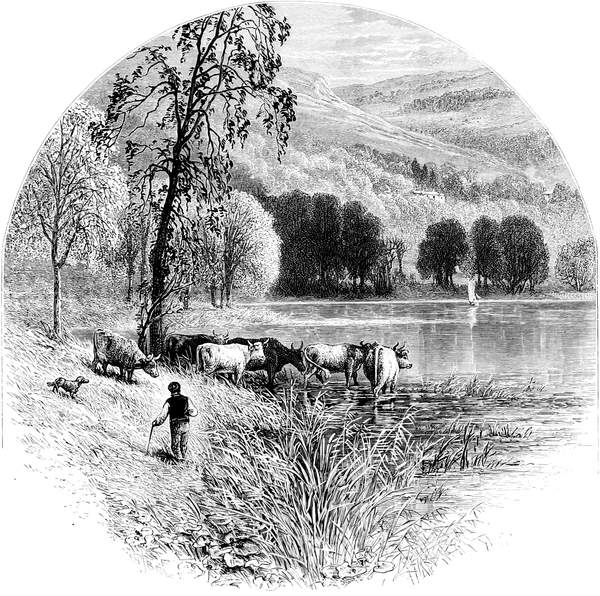 Coniston Water