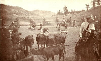 Branding in the Corral