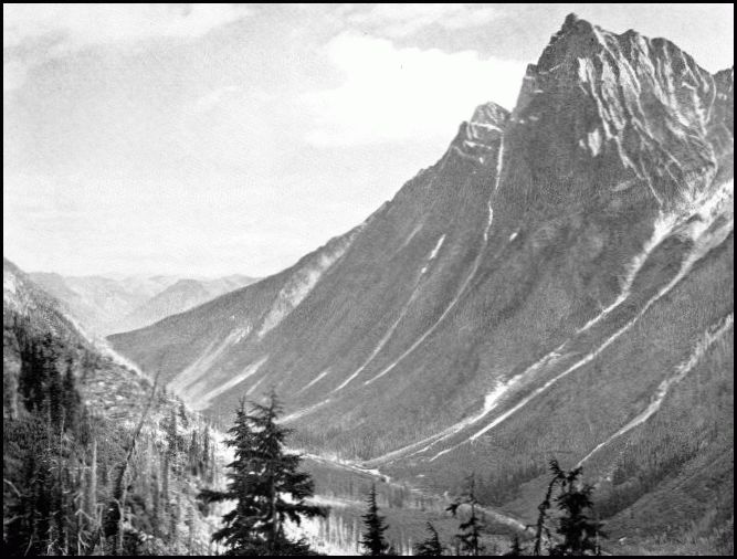 ROGERS PASS AND MOUNT MACDONALD