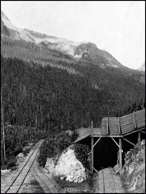 SUMMER AND WINTER TRACKS, NEAR GLACIER